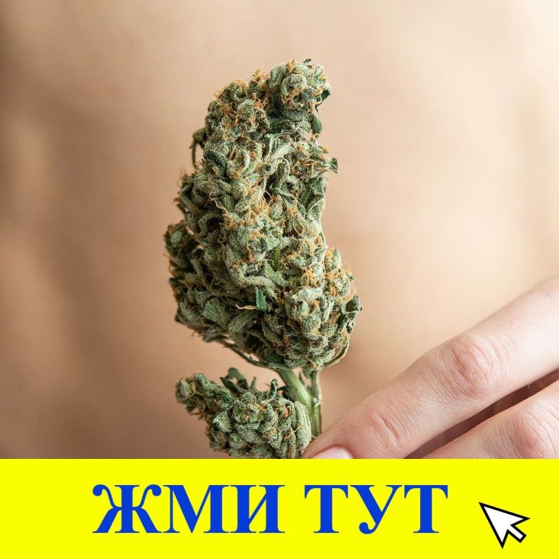 Купить наркотики в Тобольске